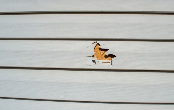 Cost of Siding Hole Repair in Athens