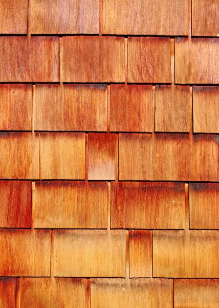 Cost of Wood Siding Replacement in Athens
