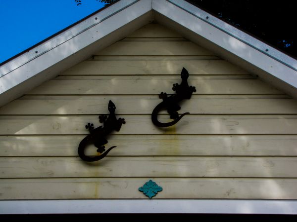 Cost of Shiplap Siding Installation in Athens
